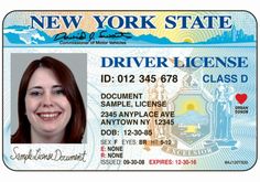 New york state drivers license template psd template